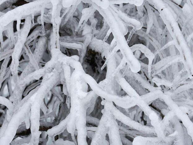 Preparing for a Winter Storm course image
